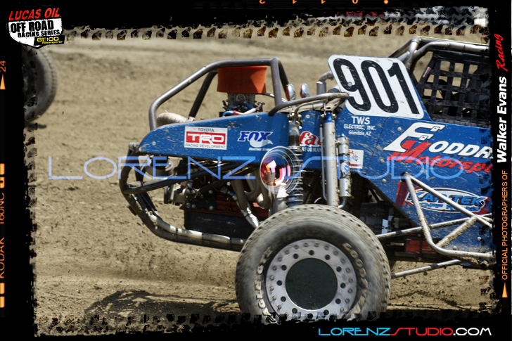 DSC02131LOORRS5.jpg - SONY DSC