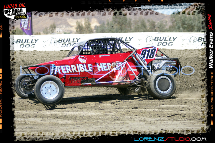 DSC06814LOORRS5.jpg - SONY DSC