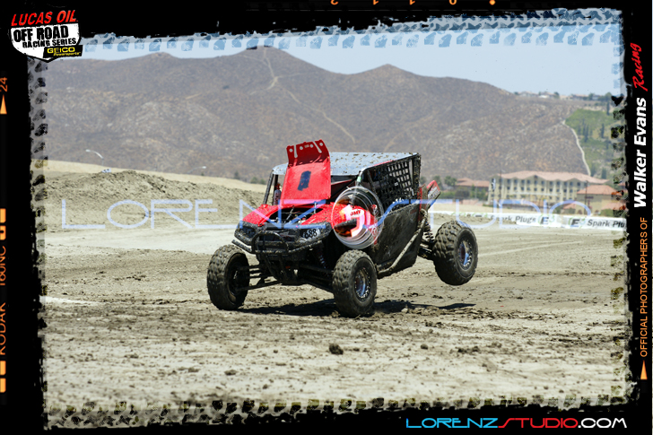 DSC04803LOORRS5.jpg - SONY DSC