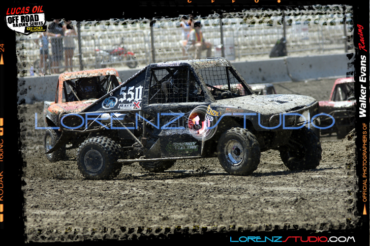 DSC08178LOORRS6.jpg - SONY DSC