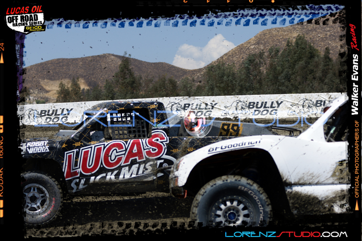 DSC08512LOORRS6.jpg - SONY DSC