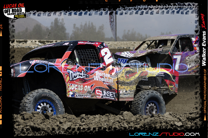 DSC08603LOORRS6.jpg - SONY DSC