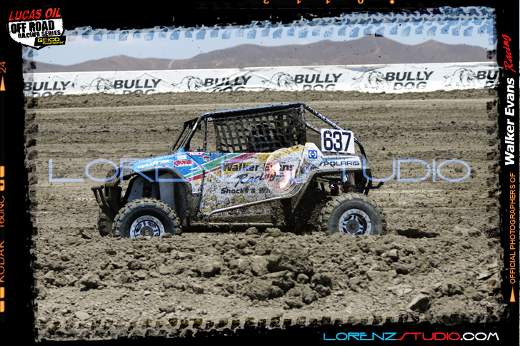 DSC08355LOORRS6.jpg - SONY DSC