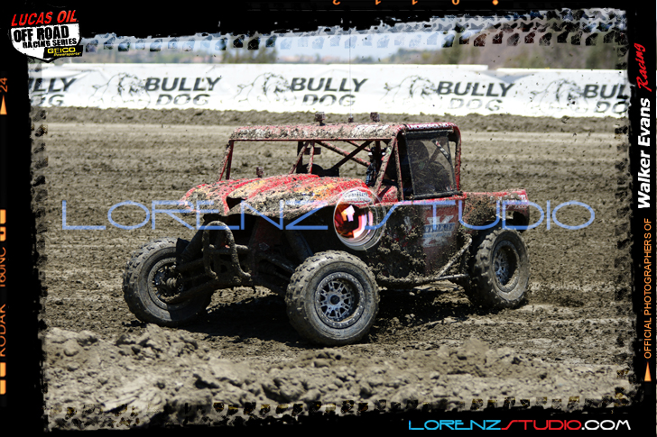 DSC08375LOORRS6.jpg - SONY DSC