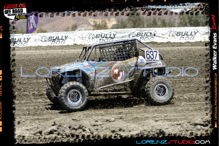 DSC08387LOORRS6.jpg - SONY DSC