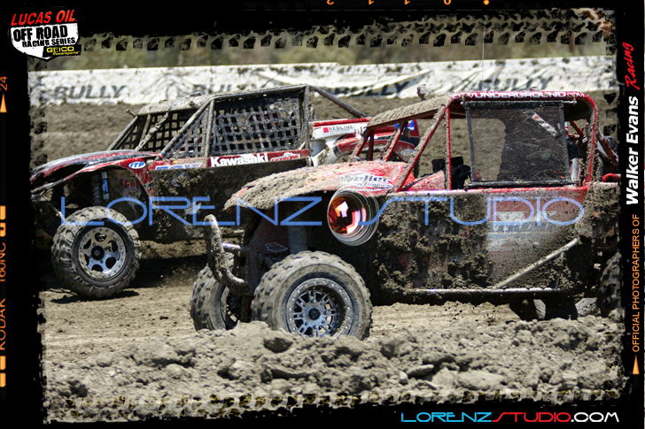 DSC08453LOORRS6.jpg - SONY DSC