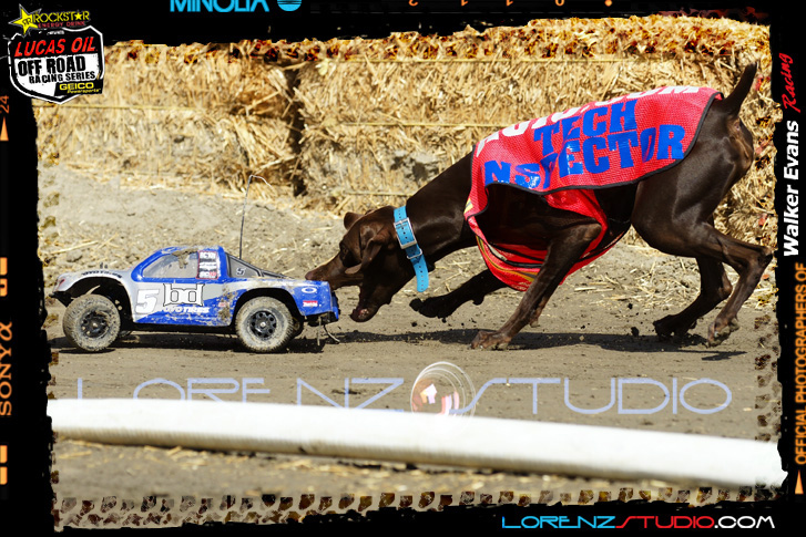 DSC09201LOORRS8.jpg - SONY DSC