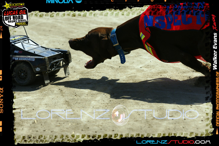 DSC09227LOORRS8.jpg - SONY DSC