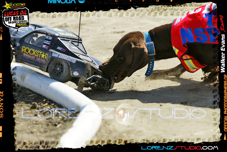 DSC09228LOORRS8.jpg - SONY DSC