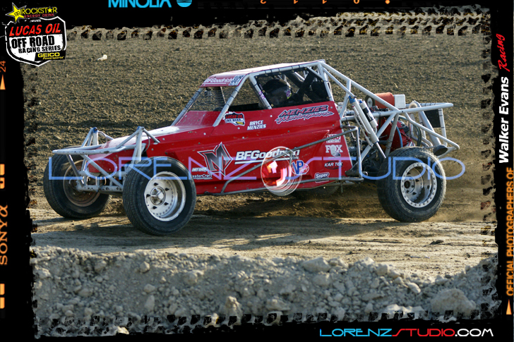 DSC02772LOORRS8.jpg - SONY DSC