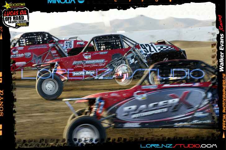 DSC09613LOORRS8.jpg - SONY DSC