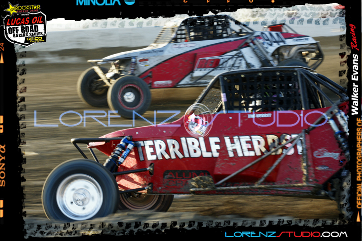 DSC09615LOORRS8.jpg - SONY DSC