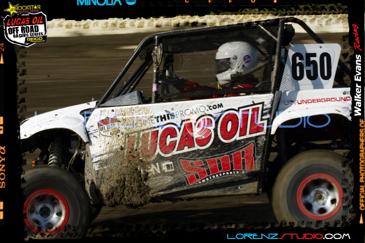 DSC09494LOORRS8.jpg - SONY DSC