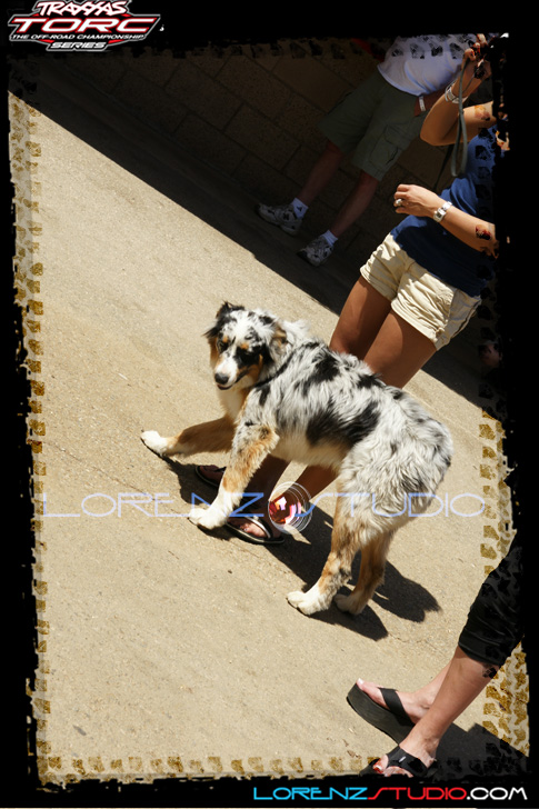 DSC09333TORCP.jpg - SONY DSC