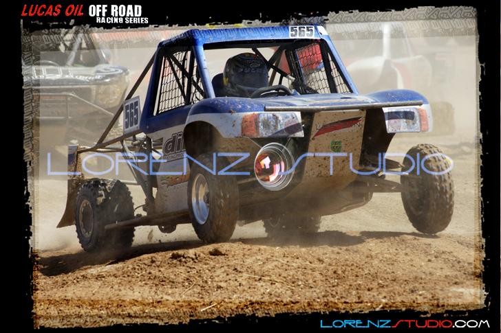 DSC08355loorrs1sunn.jpg - SONY DSC