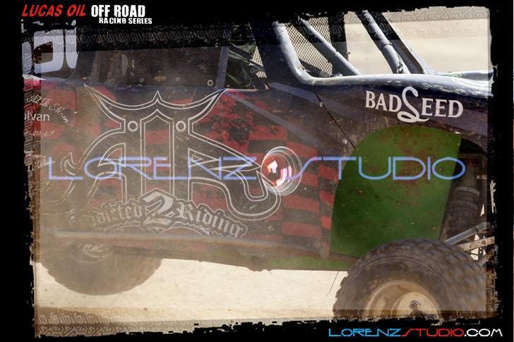 DSC08364loorrs1sunn.jpg - SONY DSC