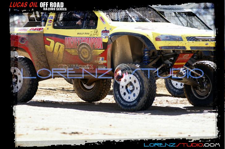 DSC07720loorrs1sunn.jpg - SONY DSC